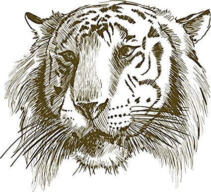 425x387 Tiger Head Sketch Home Decal Vinyl Sticker 13' X 12 - Tiger Head Sketch
