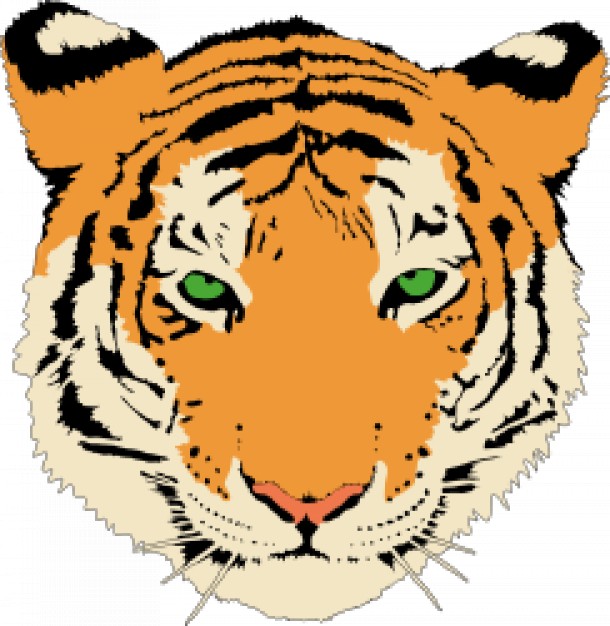 610x626 Tiger Head Sketch Vector Free Download - Tiger Head Sketch