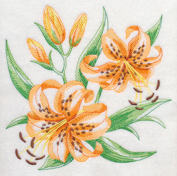 586x583 Machine Embroidery Designs - Tiger Lily Sketch