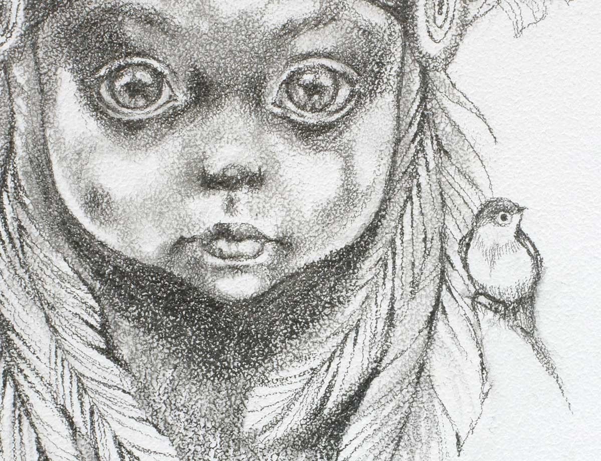 1200x921 Study - Tiger Lily Sketch