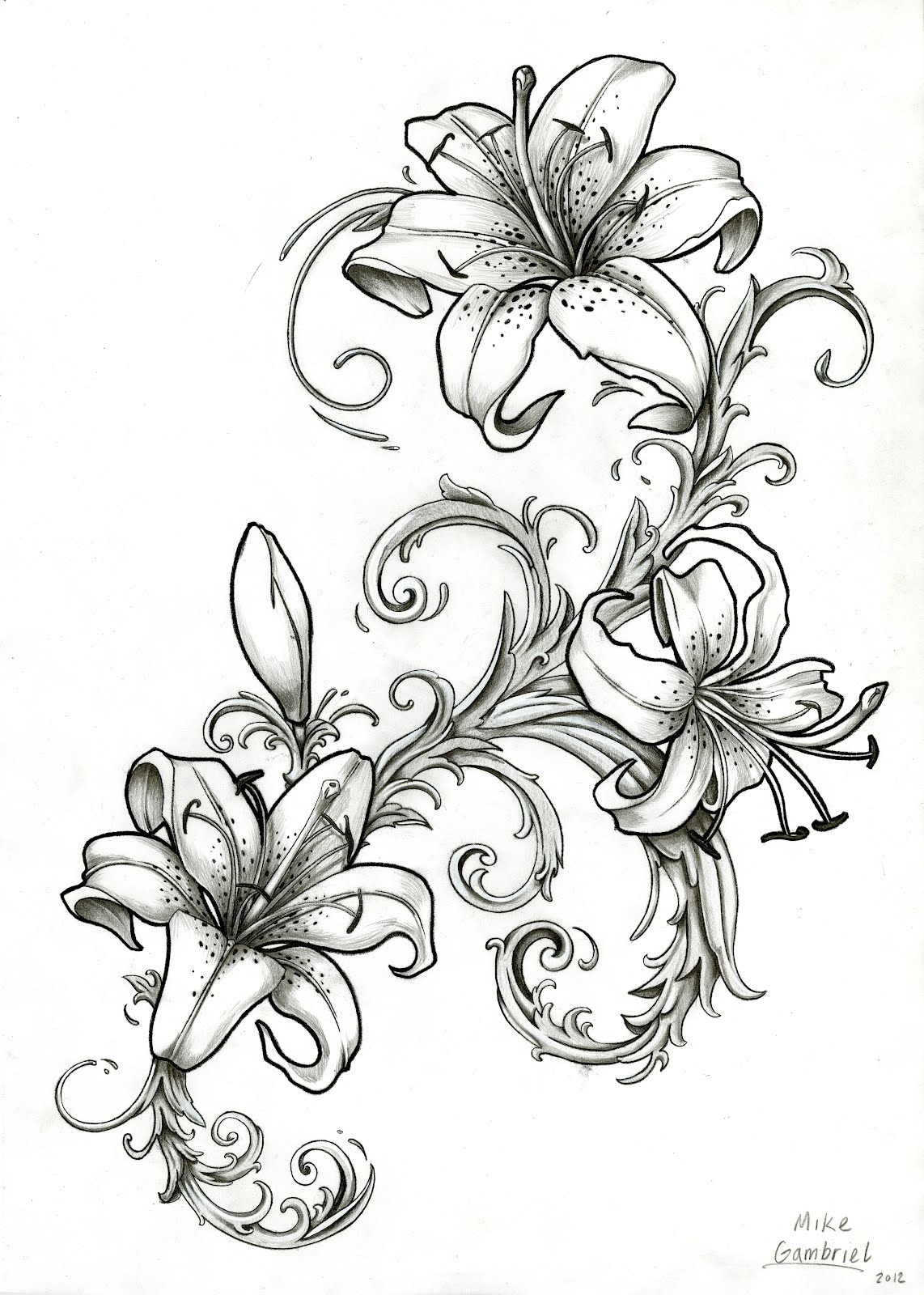 Tiger Lily Sketch at Explore collection of Tiger