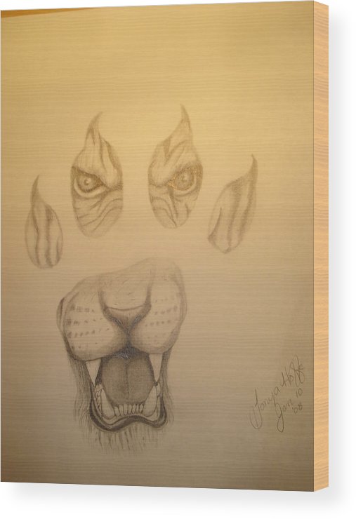 507x740 Tiger In A Paw Framed And Matted Wood Print By Tonya Hoffe - Tiger Paw Sketch