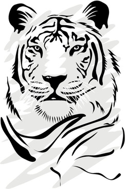 245x368 Tiger Sketch Free Vector Download (3,631 Free Vector) For - Tiger Paw Sketch