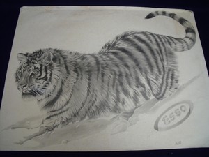 300x225 Esso Advertising Pencil Sketch Poster Of A Tiger Lot Art - Tiger Pencil Sketch Images