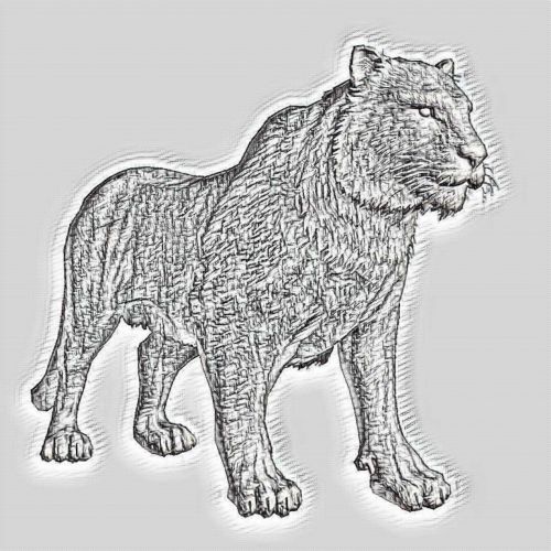500x500 Free Photos Tiger Pencil Drawing Search, Download - Tiger Pencil Sketch Images