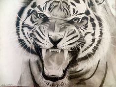 236x177 The 44 Best Roaring Tiger Head Tattoo Drawing Images - Tiger Roaring Sketch