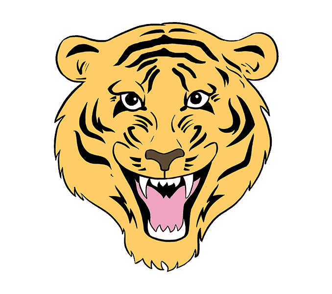 678x600 How To Draw A Tiger Face In A Few Easy Steps Easy Drawing Guides - Tiger Roaring Sketch
