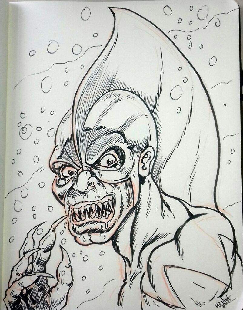 802x1024 Lunchtime Sketch - Tiger Shark Sketch