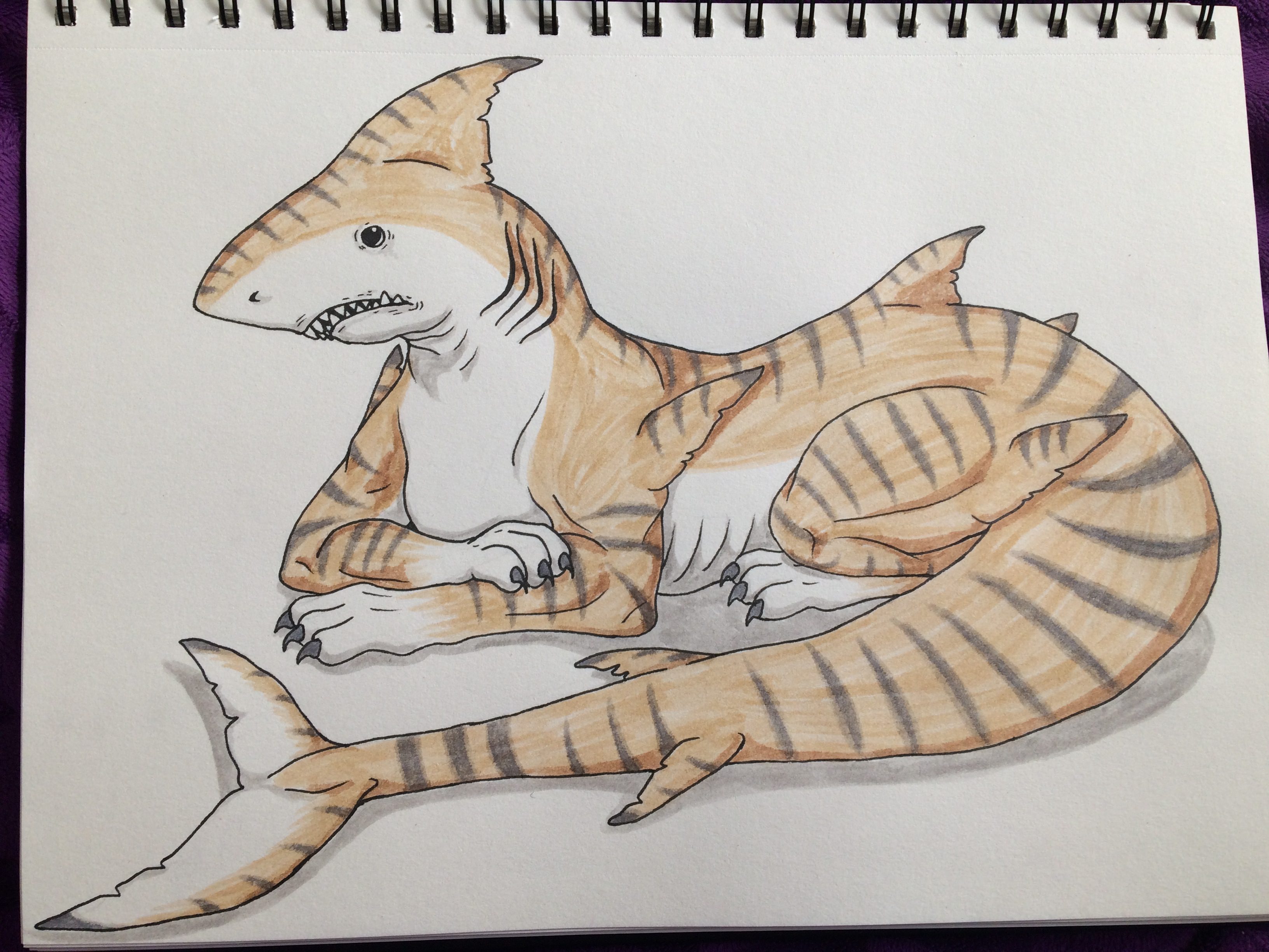 3264x2448 Tigger The Tiger Shark - Tiger Shark Sketch