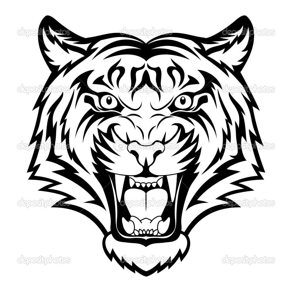 1024x1024 Tiger Face Image Sketch White Tiger Drawings White Tiger Face - Tiger Sketch