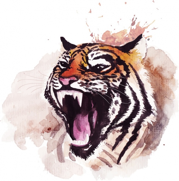 592x600 Tiger Drawing Grunge Watercolor Handdrawn Decor Free Vector In - Tiger Sketch