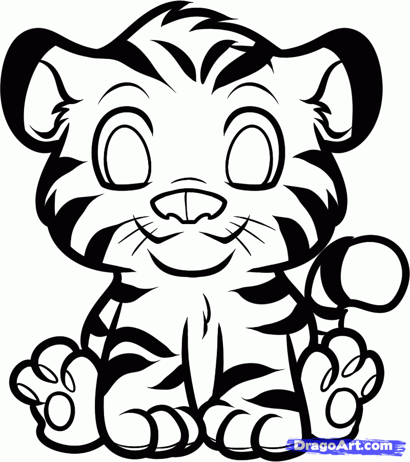 800x901 How To Draw An Anime Tiger, Step By Step, Anime Animals, Anime - Tiger Sketch Cartoon