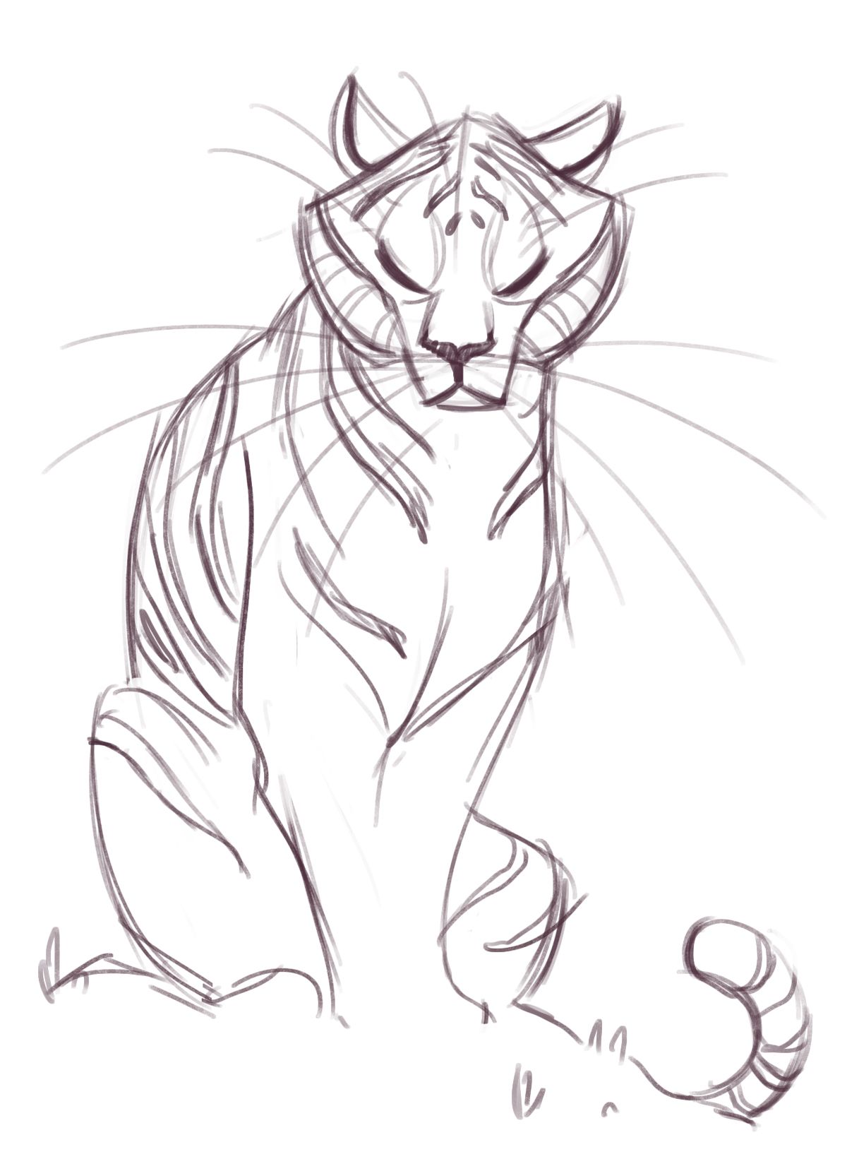 Tiger Sketch Drawing