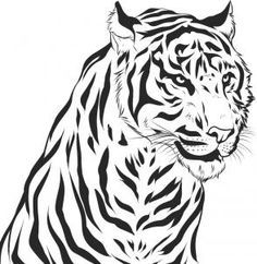 236x242 82 Best Tigers Drawing And Painting Tigers Images - Tiger Sketch Easy