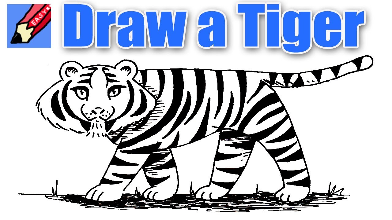 1280x720 How To Draw A Tiger Real Easy - Tiger Sketch For Kids