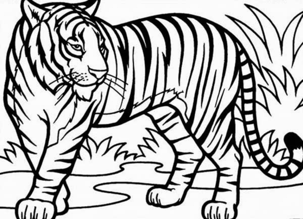 1200x868 Tiger Sketch For Kids Drawing Pictures Of Tiger At Getdrawings - Tiger Sketch For Kids