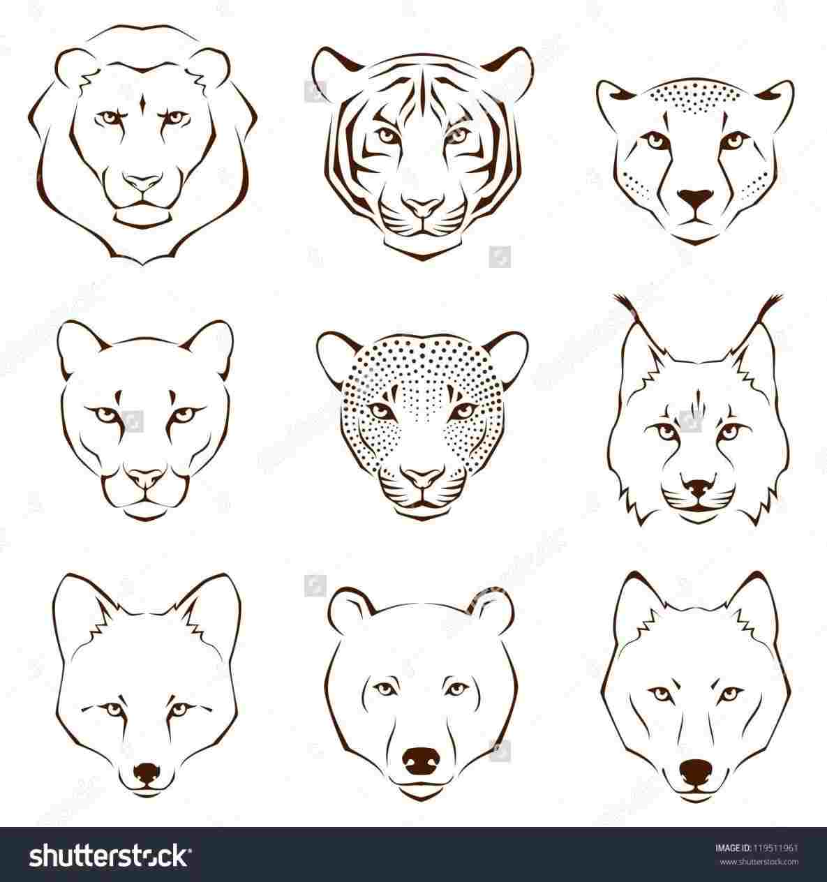 1185x1264 Animals Images For Kids Fresh The Collection Printable Tiger - Tiger Sketch For Kids