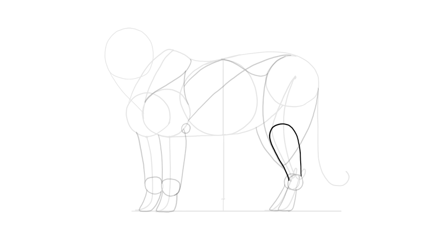 850x460 How To Draw A Tiger - Tiger Sketch Images