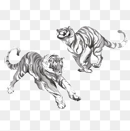 260x261 Tiger Sketch Png Images Vectors And Psd Files Free Download On - Tiger Sketch Images