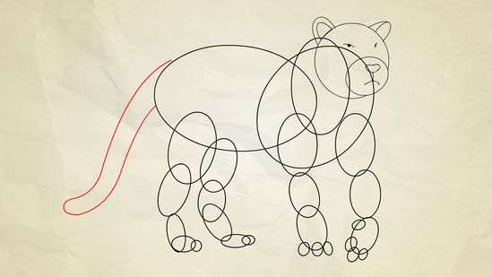 Tiger Sketch Pictures