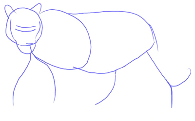 400x249 How To Draw A Tiger - Tiger Sketch Pictures