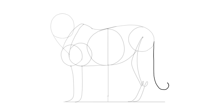 850x460 How To Draw A Tiger - Tiger Sketch Pictures