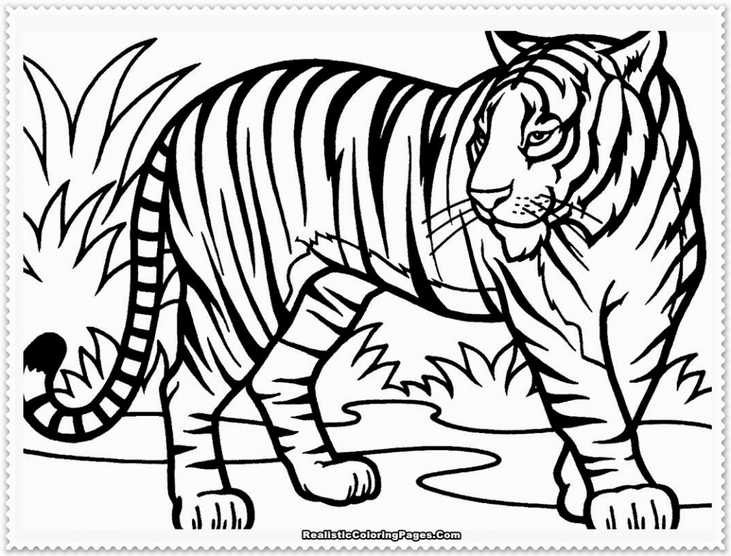 1024x778 Tiger Sketch For Kids - Tiger Sketch Pictures