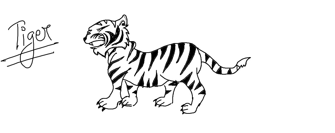 Tiger Sketch Step By Step