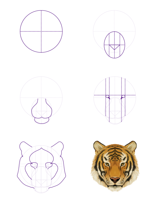 600x795 How To Draw Animals Big Cats, Their Anatomy And Patterns - Tiger Sketch Step By Step