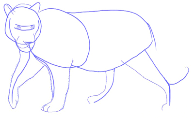 400x244 How To Draw A Tiger - Tiger Sketch Step By Step