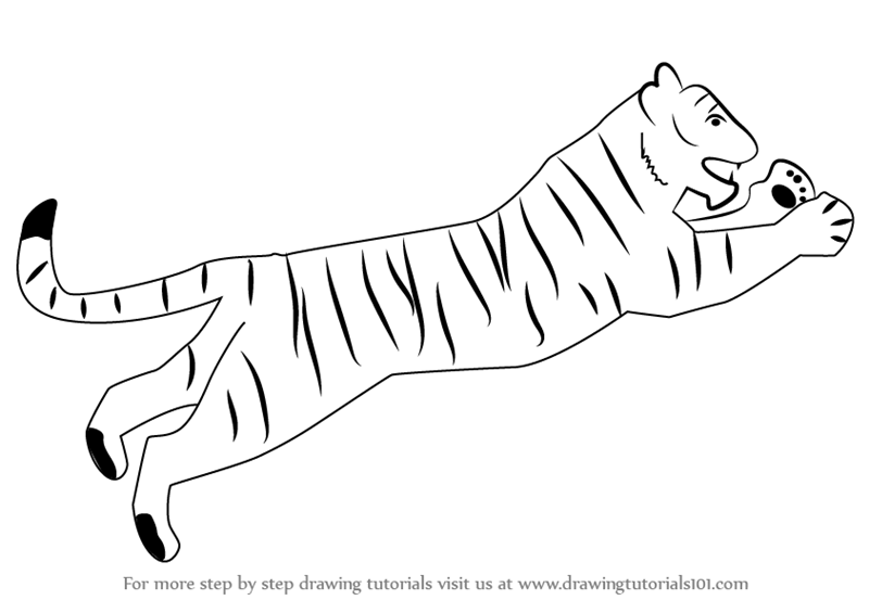 800x565 Learn How To Draw A Tiger For Kids (Big Cats) Step By Step - Tiger Sketch Step By Step