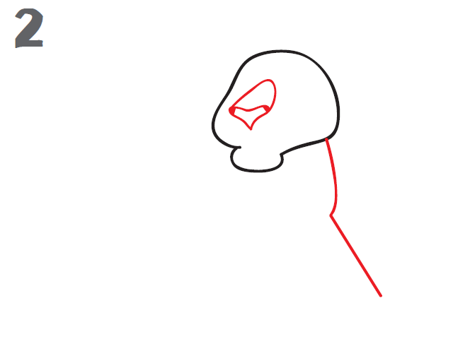 640x480 How To Draw A Tiger - Tiger Sketch Step By Step