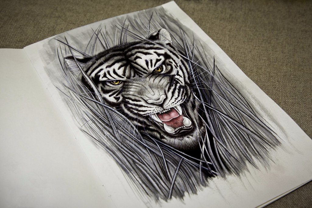 1024x683 Tiger (Sketch Tattoo) By Nastya An - Tiger Sketch Tattoo