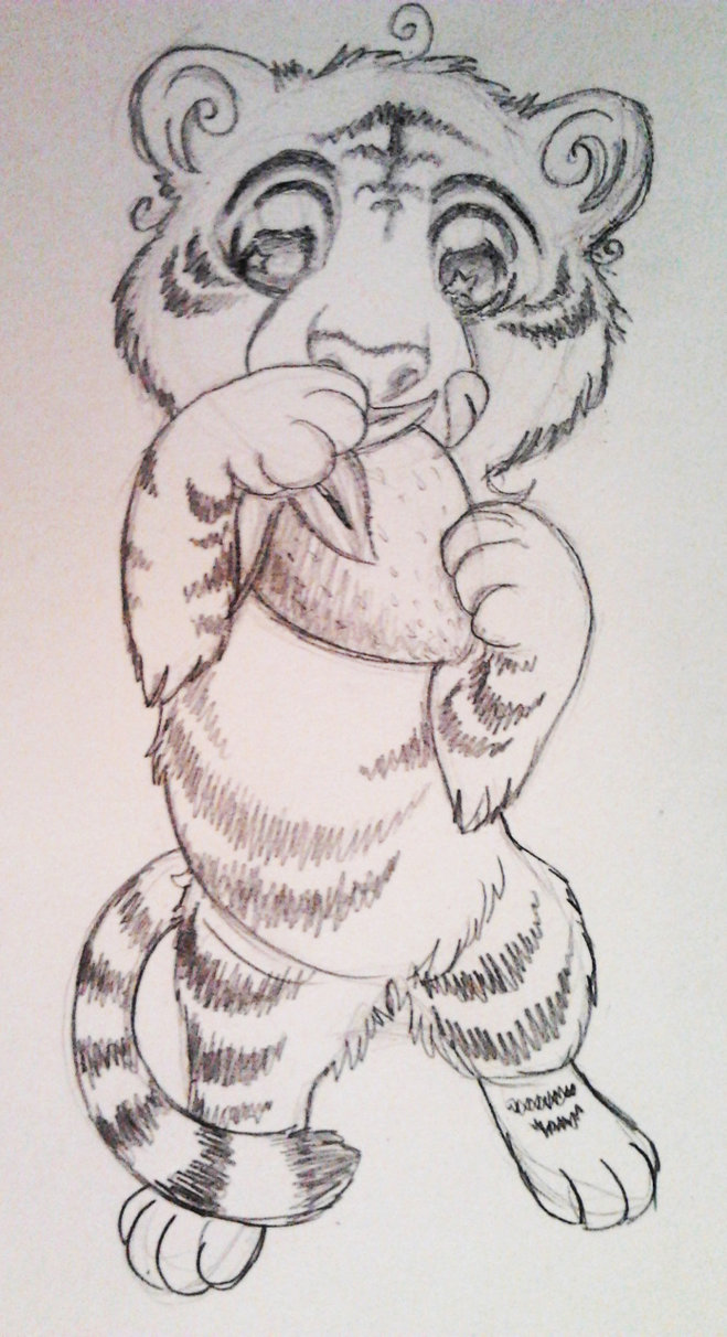 659x1212 Tiger Tattoo Sketch - Tiger Sketch Tattoo