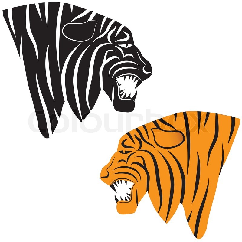 800x800 Tiger Head Vector Animal Illustration For T Shirt. Sketch Tattoo - Tiger Sketch Tattoo