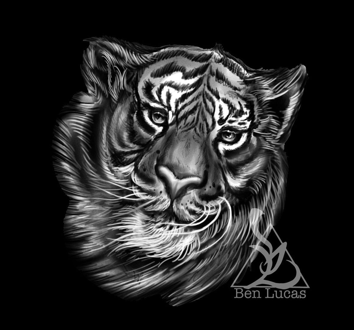 1200x1117 Tiger Sketch On Behance - Tiger Sketch Tattoo