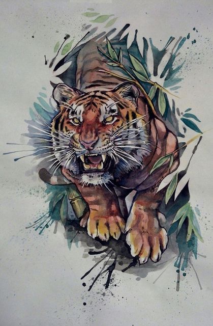 419x640 Tigers Drawings Colored - Tiger Sketch Tattoo