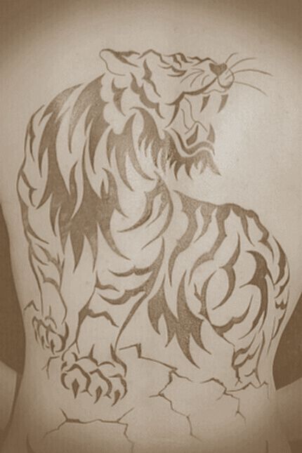 430x645 Angry Tribal Tiger Tattoo Sketch - Tiger Tattoo Sketch