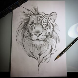 320x320 Resultado De Imagem Para Lion Draw Tattoo Tatuagem - Tiger Tattoo Sketch