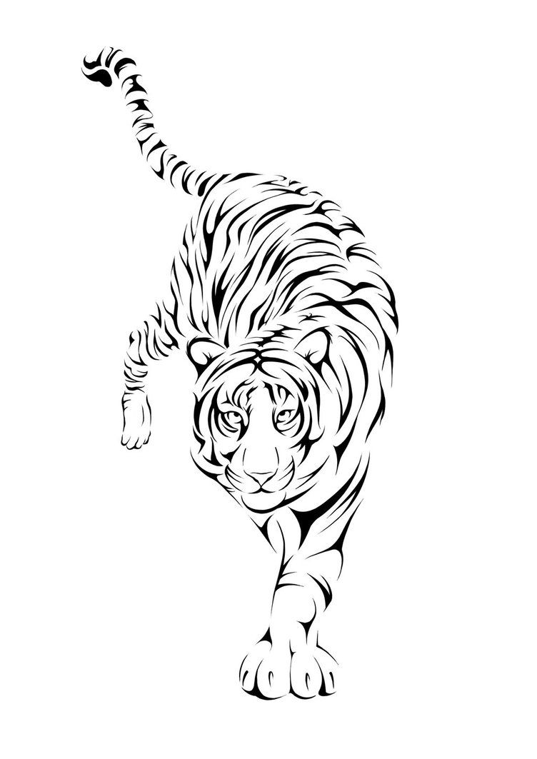 752x1063 Tribal Tiger Tattoos With No Color Tribal Fire Tiger Tattoo On - Tiger Tattoo Sketch