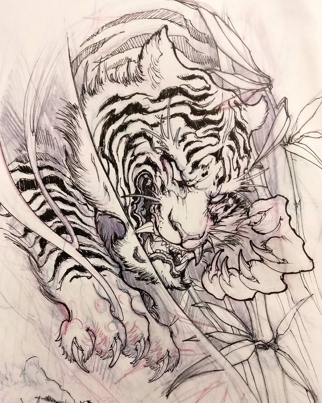 1080x1350 Chronicink - Tiger Tattoo Sketch