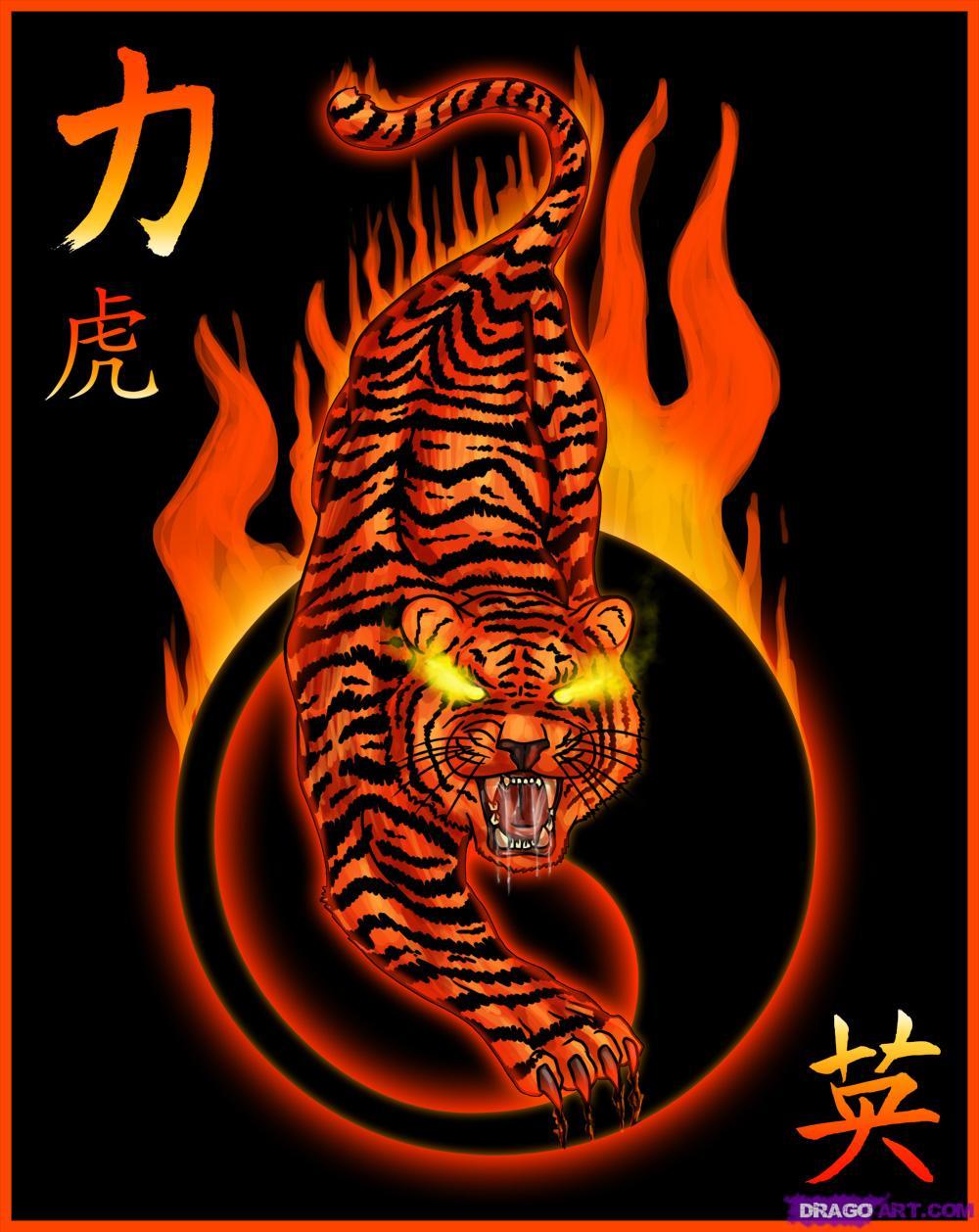 1000x1258 Flaming Tiger Tattoo Sketch - Tiger Tattoo Sketch