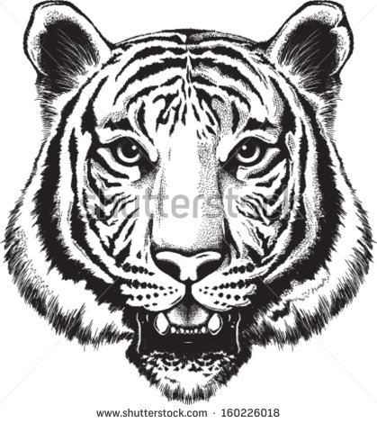 419x470 Collection Of Tiger Face Drawing Tattoo High Quality, Free - Tiger Tattoo Sketch