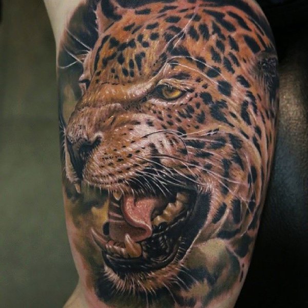 600x600 55 Awesome Tiger Tattoo Designs Art And Design - Tiger Tattoo Sketch