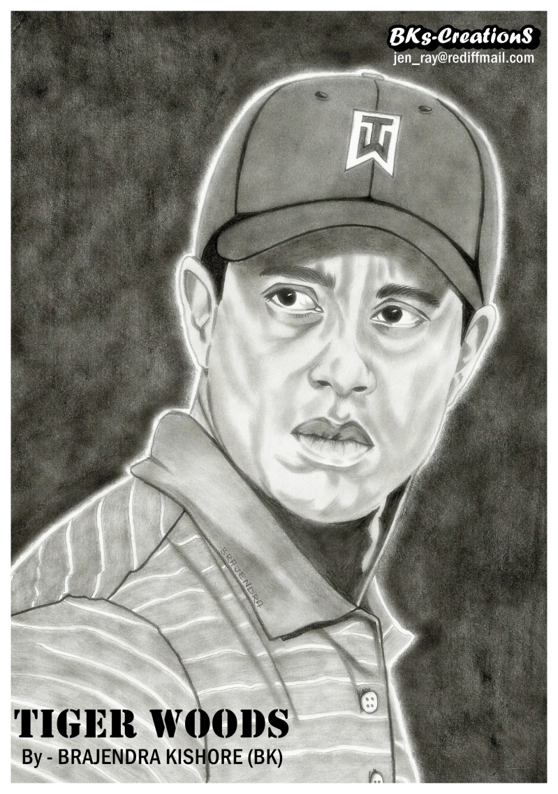 799x1138 Tiger Woods Gallery Plus Gallery Plus - Tiger Woods Sketch