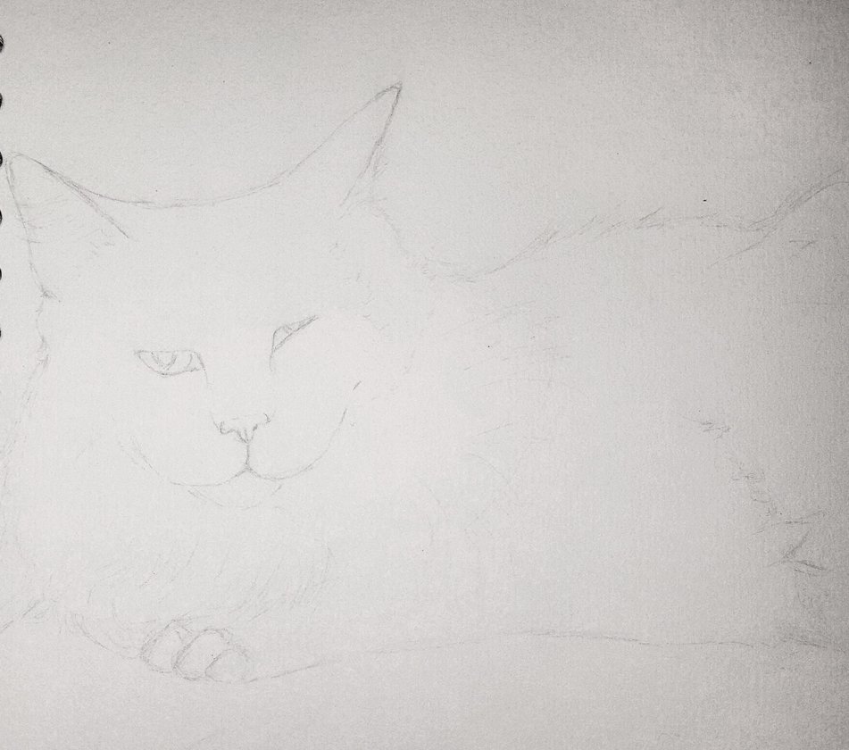 951x840 Tigger Sketch By Captainbeth - Tigger Sketch