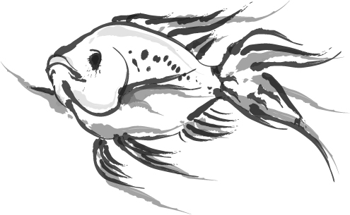 495x305 Tilapia Painting By Mark San - Tilapia Sketch