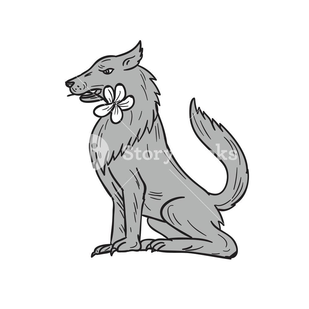 1000x1000 Drawing Sketch Style Illustration Of A Timber Wolf Sitting Biting - Timber Sketch