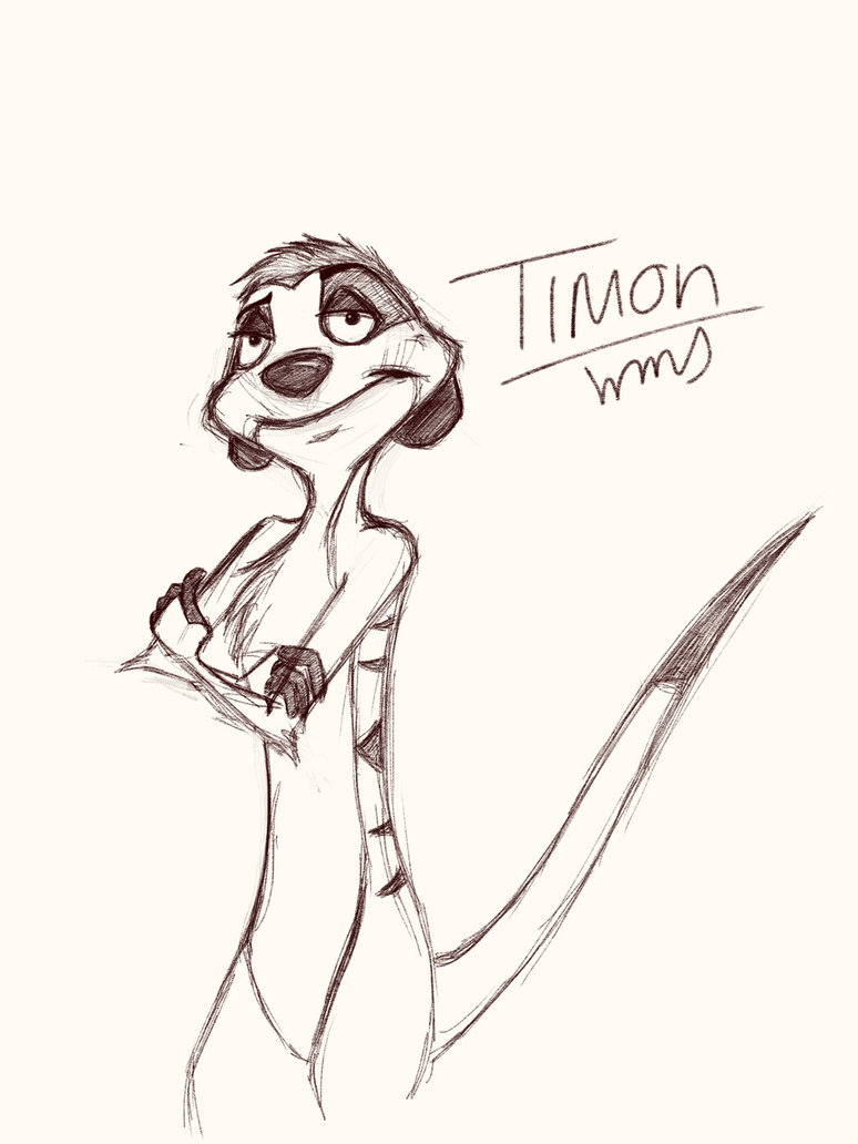 774x1032 Timon Sketch By Watchmesoar - Timon Sketch