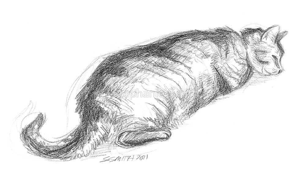 1000x599 Tinkerbell Sleeping - Tinkerbell Pencil Sketch